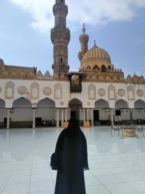 صفا يحيي